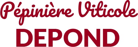 Pepinieres Depond Vignoble Loir Et Cher Logo 5
